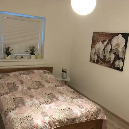Ferienwohnung Apartment